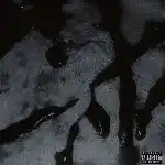 دانلود آهنگ بلاد سل از نیما حنظو